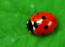 Avatar do Utilizador